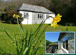 The Old Smithy (shown in pic) sleeps up to 4 people in 2 bedrooms, 1 x Double and 1 x Bunk room, This property has been converted from the Blacksmith's Shop and has a lot of character with it,s beamed ceilings,it is situated on the bank of the stream that meanders its way down the Valley to the Beach at Crackington Haven.